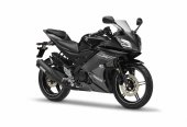 2013 Yamaha YZF-R15 V2.0 photo
